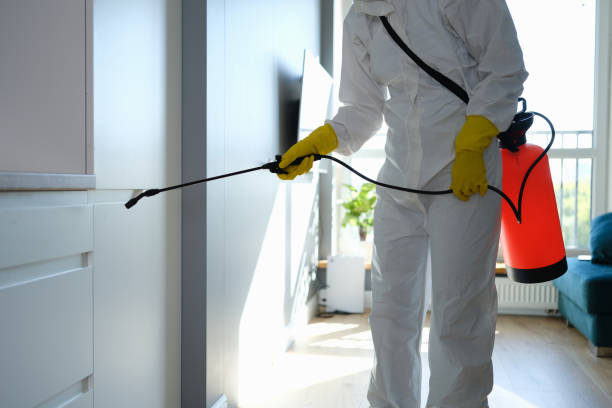 Home Mold Removal in Georgiana, AL